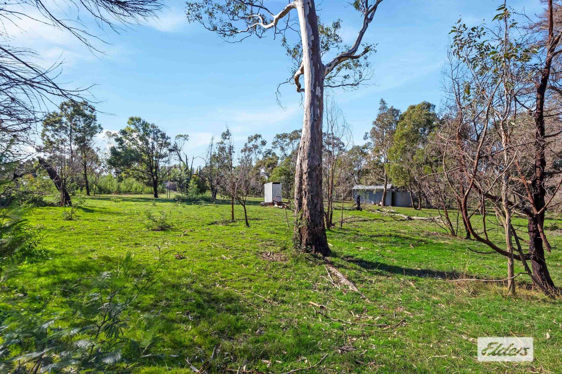 43 Springwood Hill Road, Pomonal For Sale by Farmbuy.com - image 8