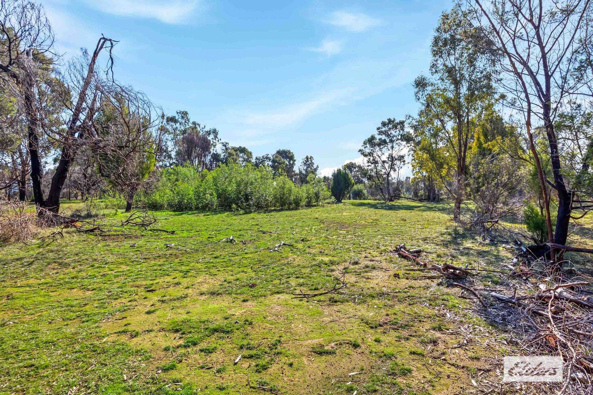 43 Springwood Hill Road, Pomonal For Sale by Farmbuy.com - image 11
