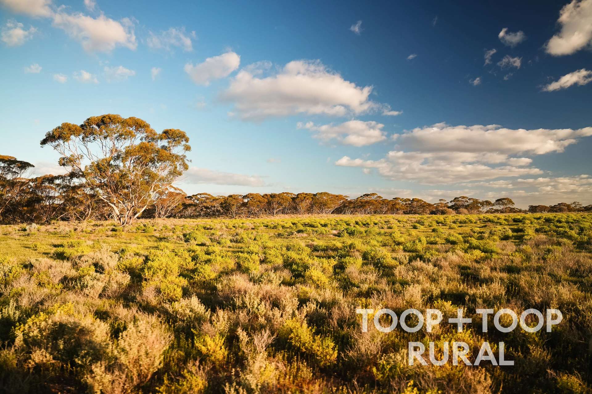 1721 Murraylands Road, Blanchetown For Sale by Farmbuy.com - image 5