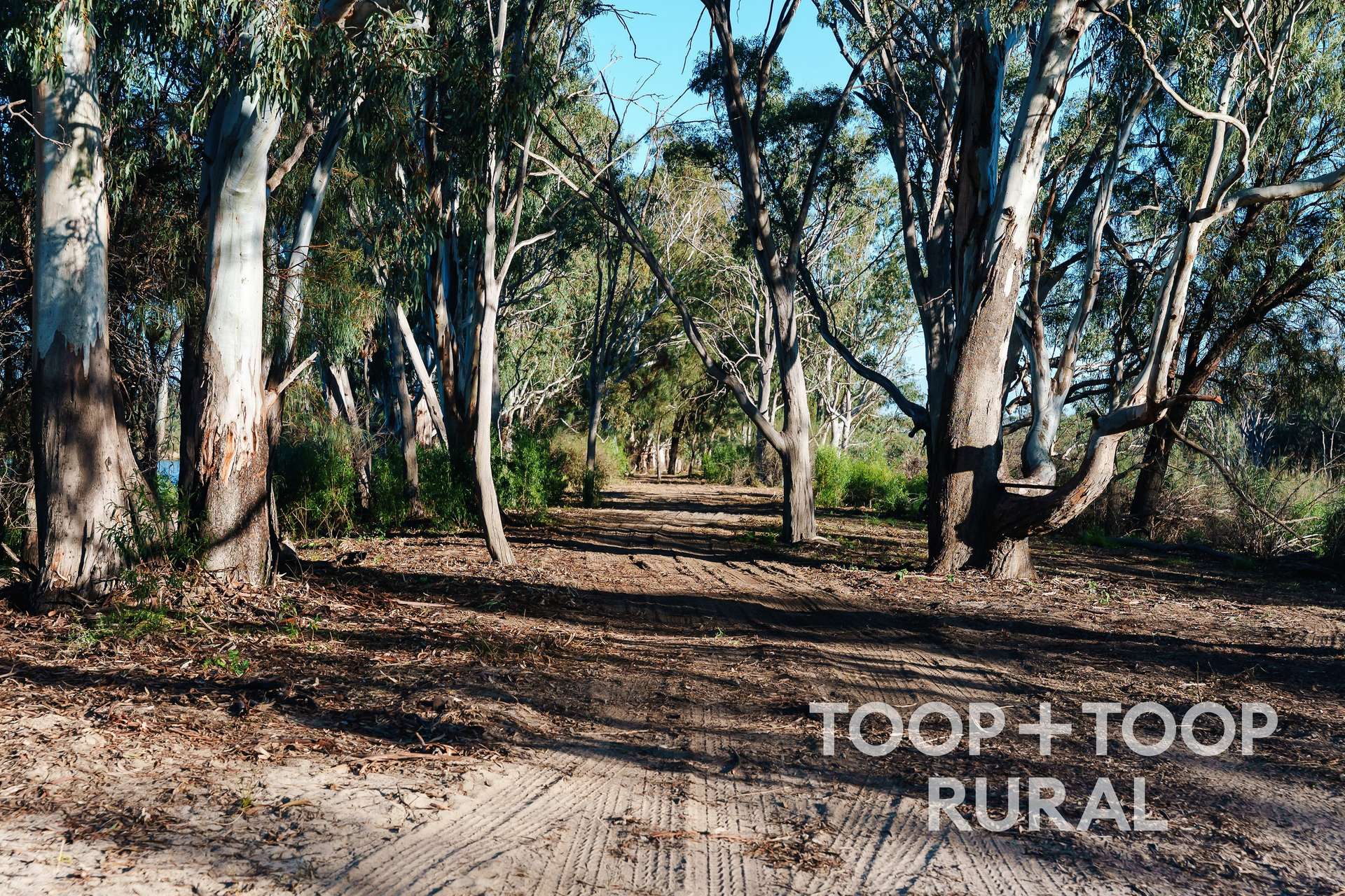 1721 Murraylands Road, Blanchetown For Sale by Farmbuy.com - image 4
