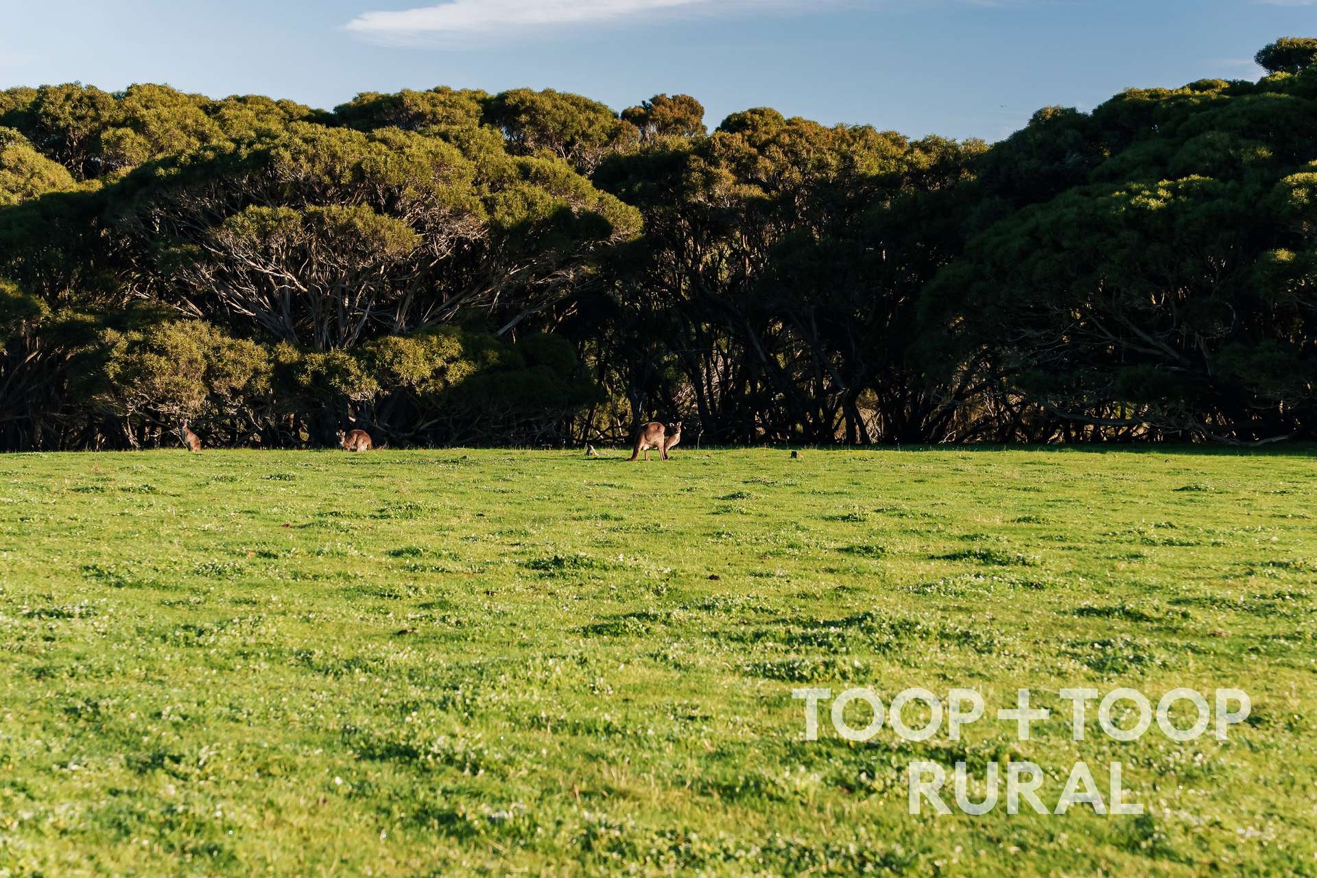 2021 North Coast Road, Wisanger For Sale by Farmbuy.com - image 34