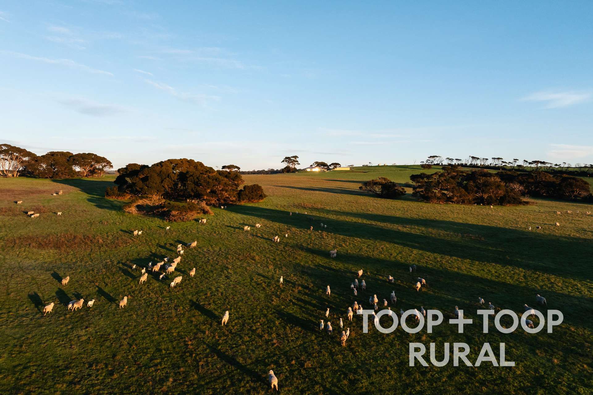 2021 North Coast Road, Wisanger For Sale by Farmbuy.com - image 7