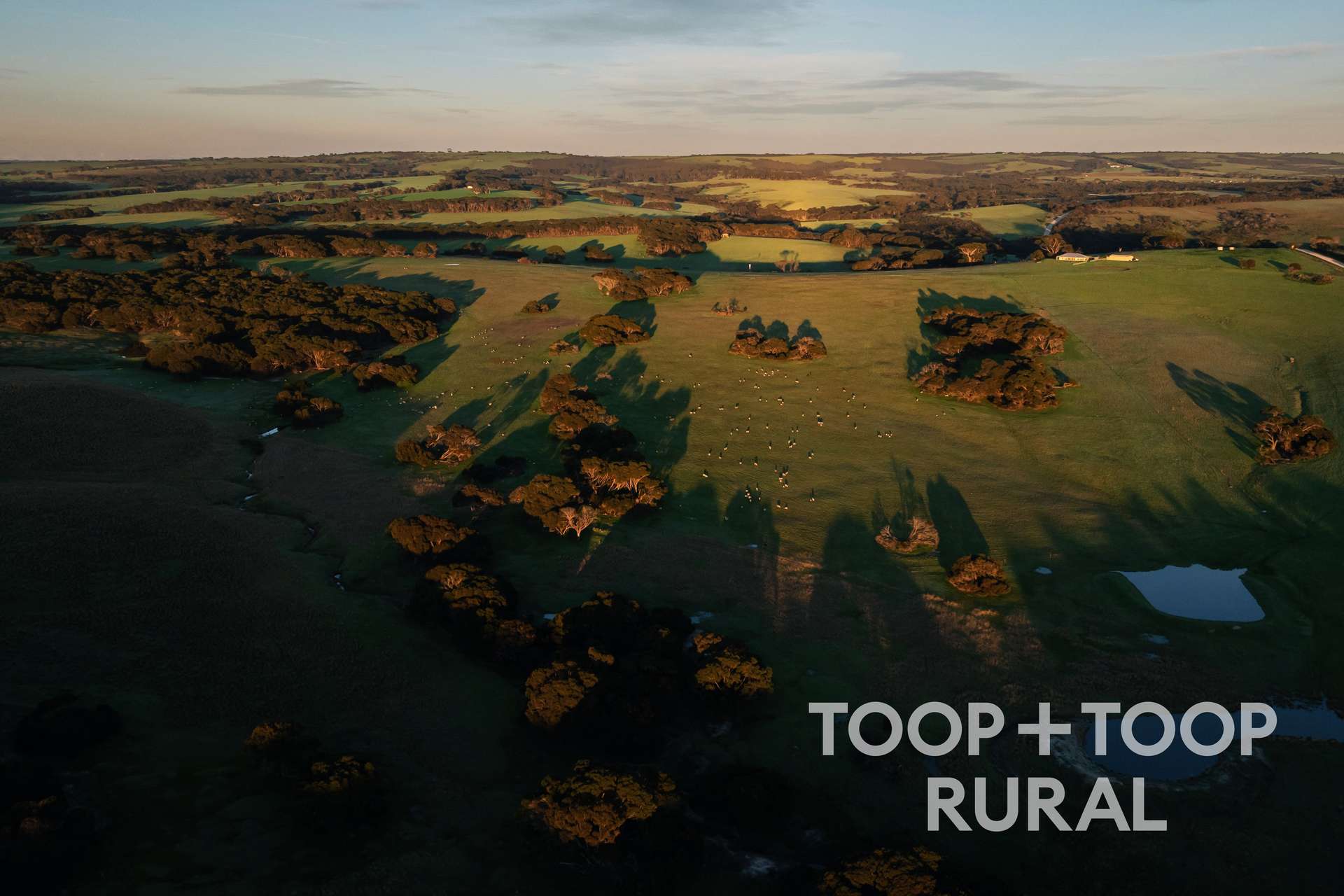 2021 North Coast Road, Wisanger For Sale by Farmbuy.com - image 29