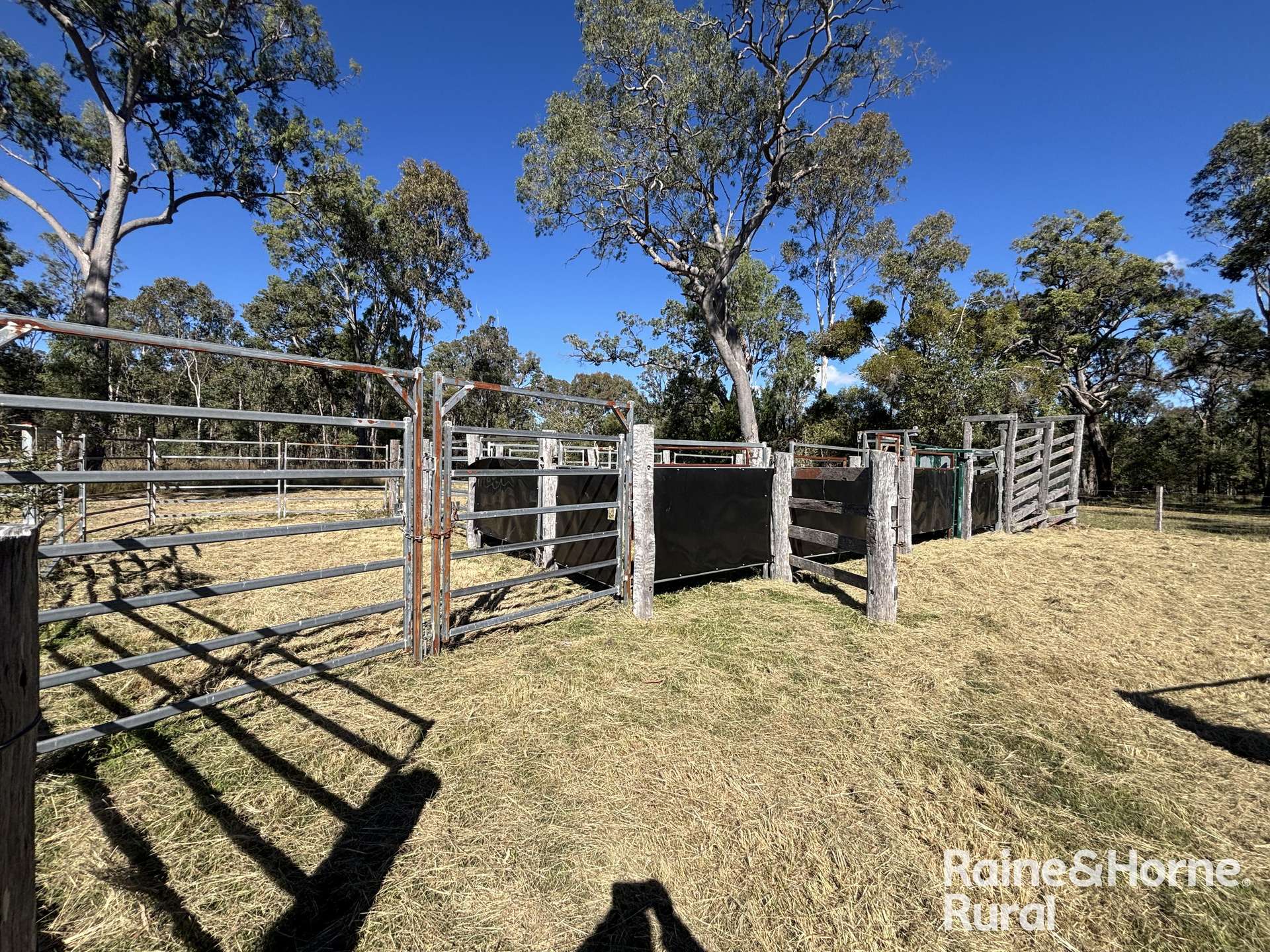 754 Pedersens Rd, Dangore For Sale by Farmbuy.com - image 13