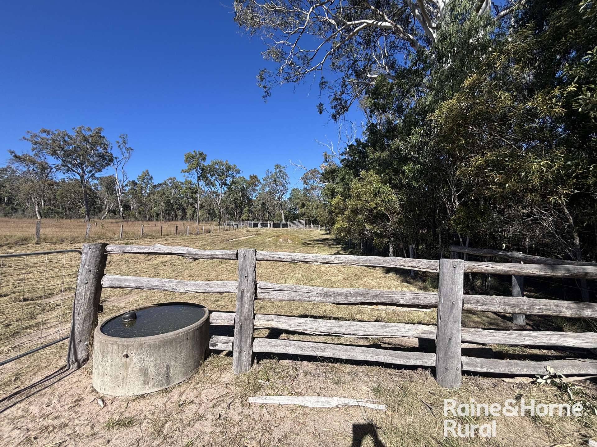 754 Pedersens Rd, Dangore For Sale by Farmbuy.com - image 12