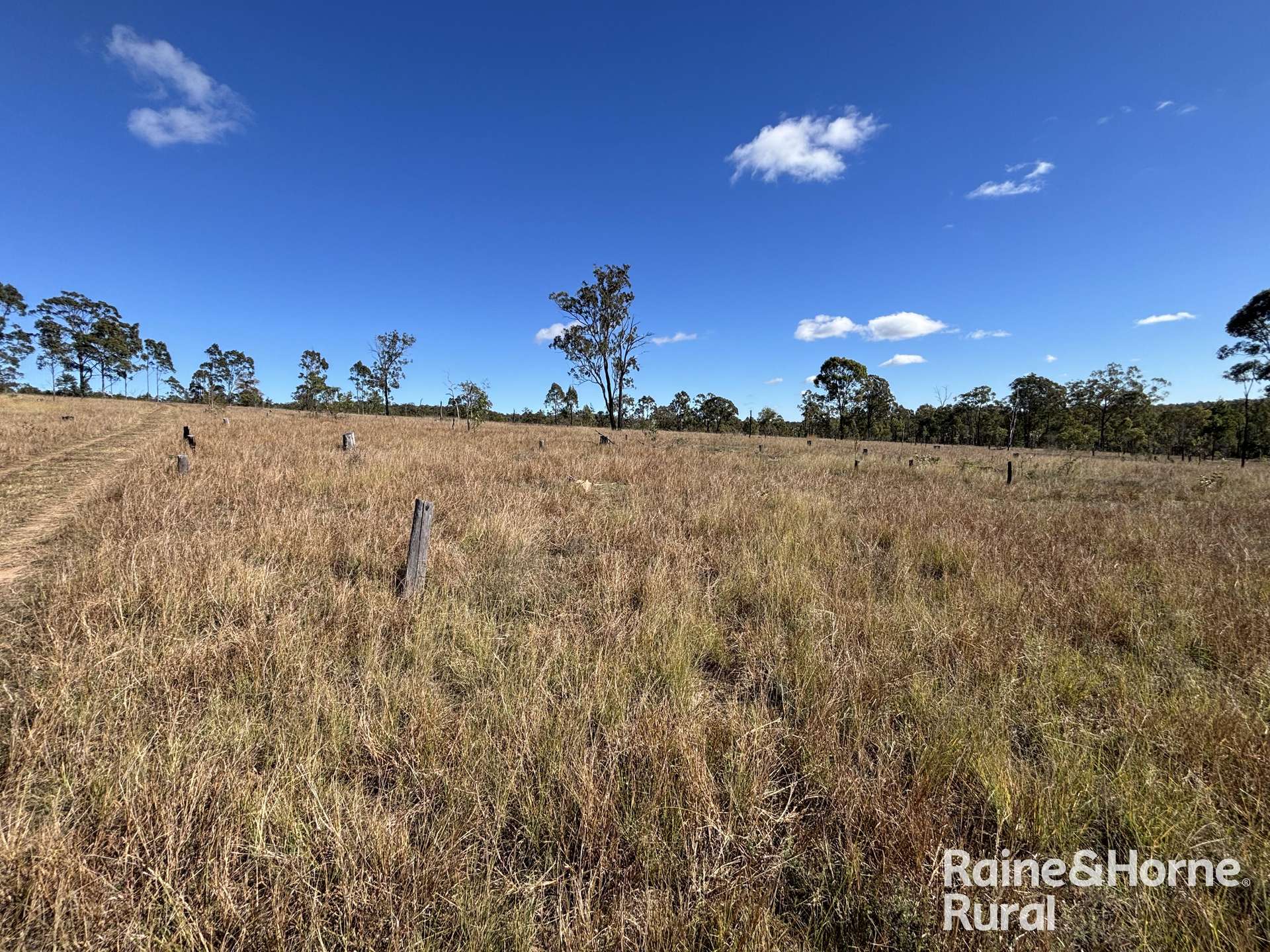 754 Pedersens Rd, Dangore For Sale by Farmbuy.com - image 3