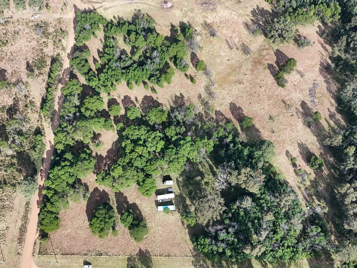 593 Yankees Gap Road, Bemboka For Sale by Farmbuy.com - image 4