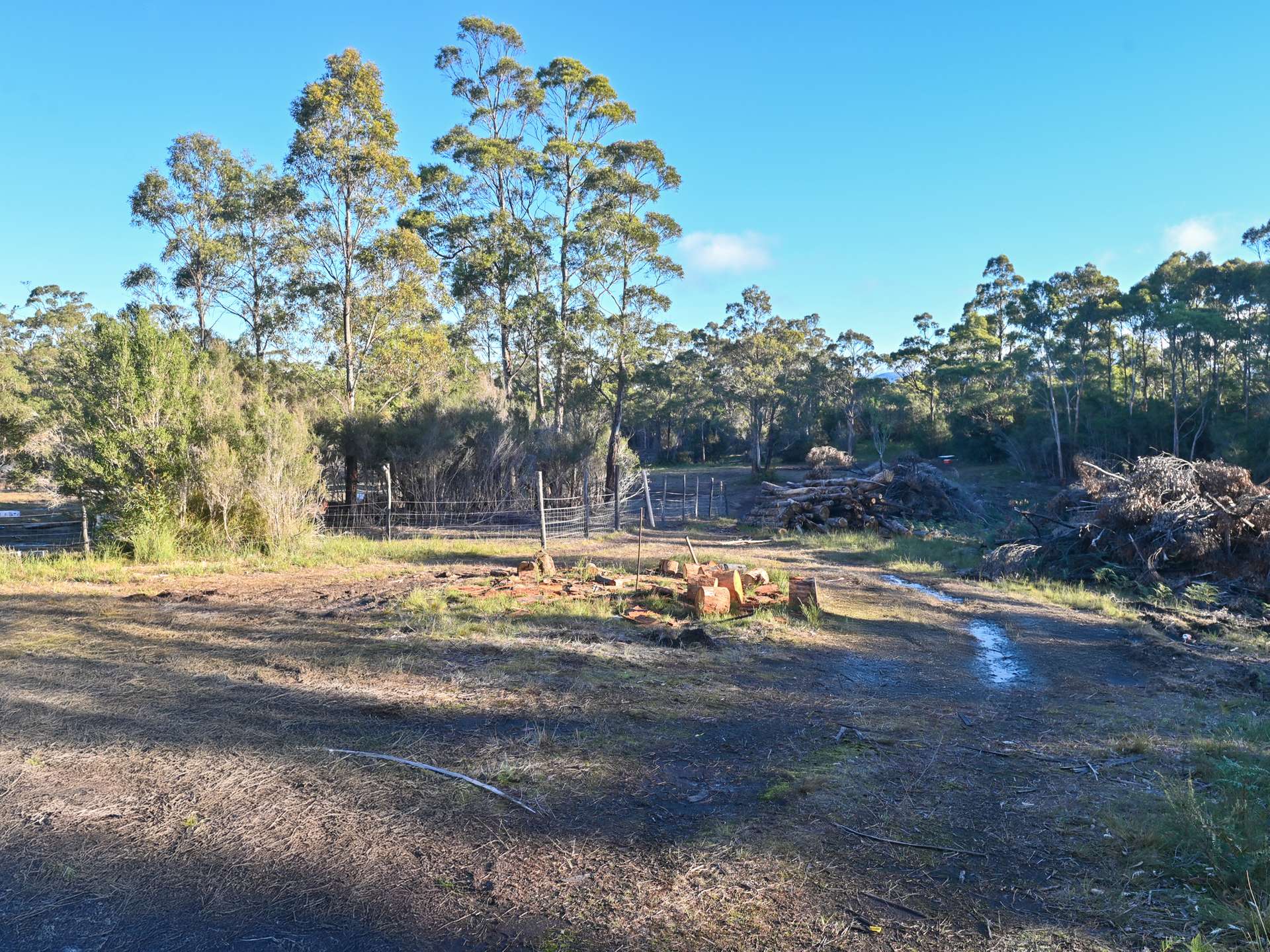 189 Hastings Caves Road, Hastings For Sale by Farmbuy.com - image 8