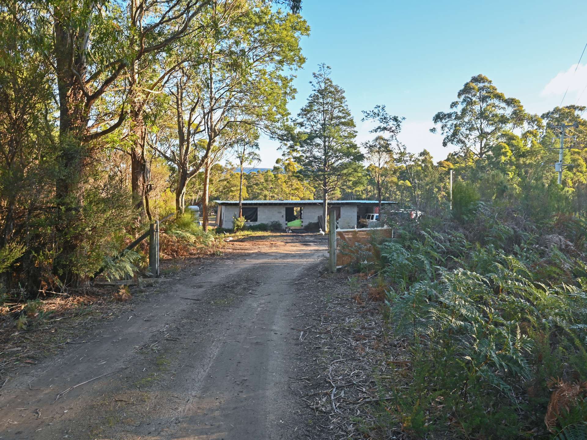 189 Hastings Caves Road, Hastings For Sale by Farmbuy.com - image 5