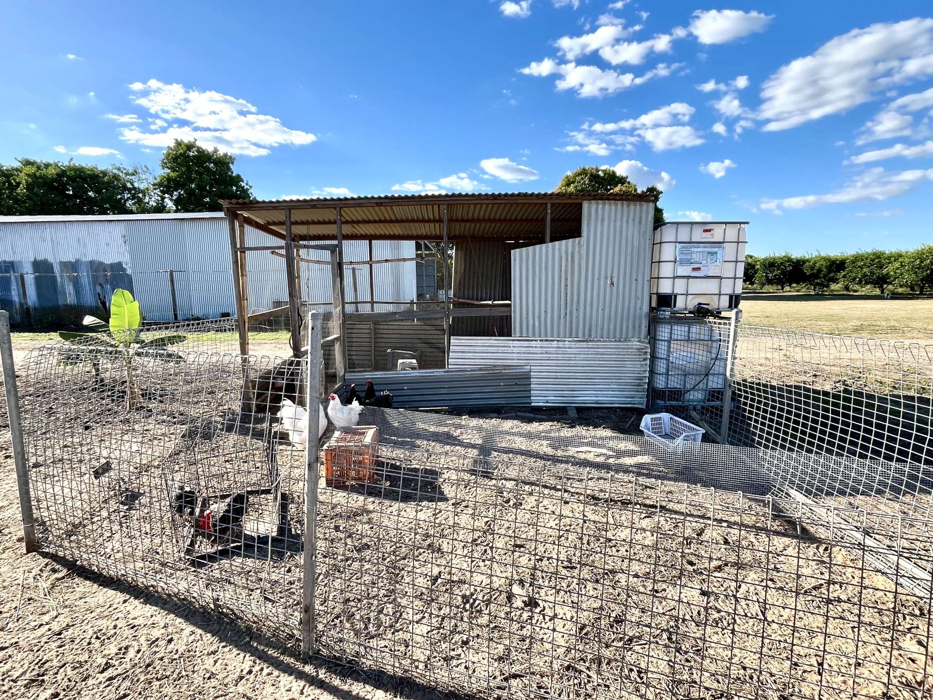 2590 Kirknie  Road, Kirknie For Sale by Farmbuy.com - image 16