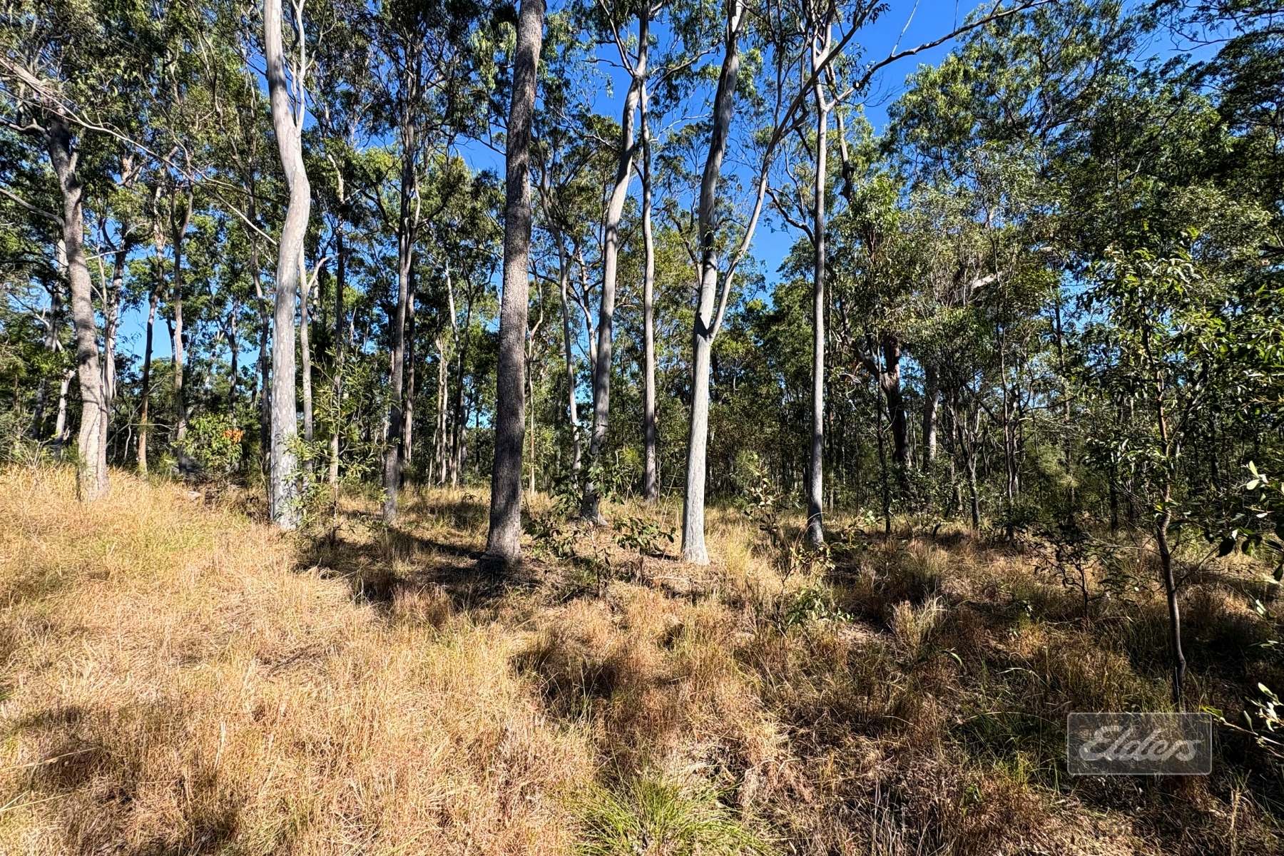 Lot 755 Arbortwenty Eight Road, Glenwood For Sale by Farmbuy.com - image 16