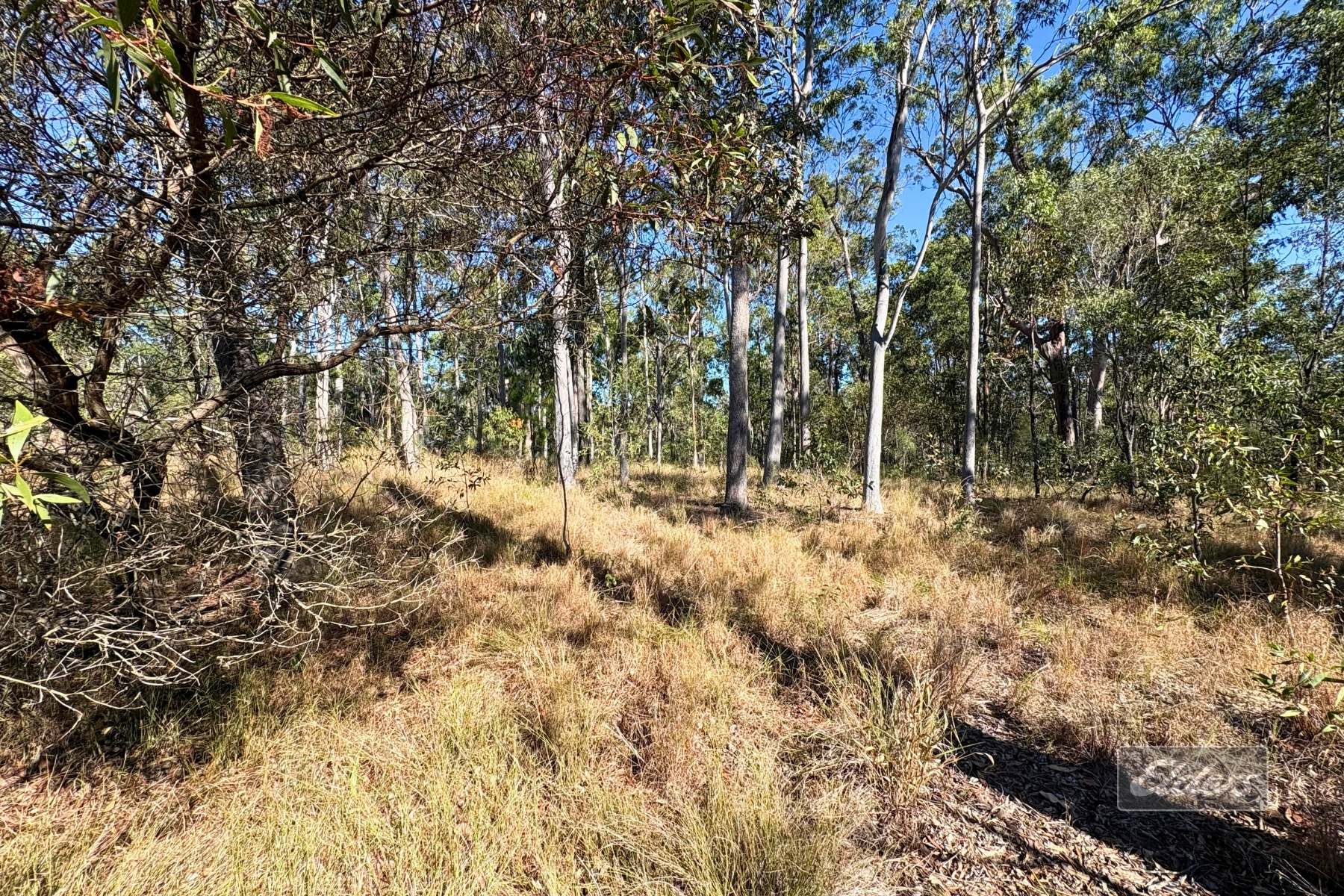 Lot 755 Arbortwenty Eight Road, Glenwood For Sale by Farmbuy.com - image 17