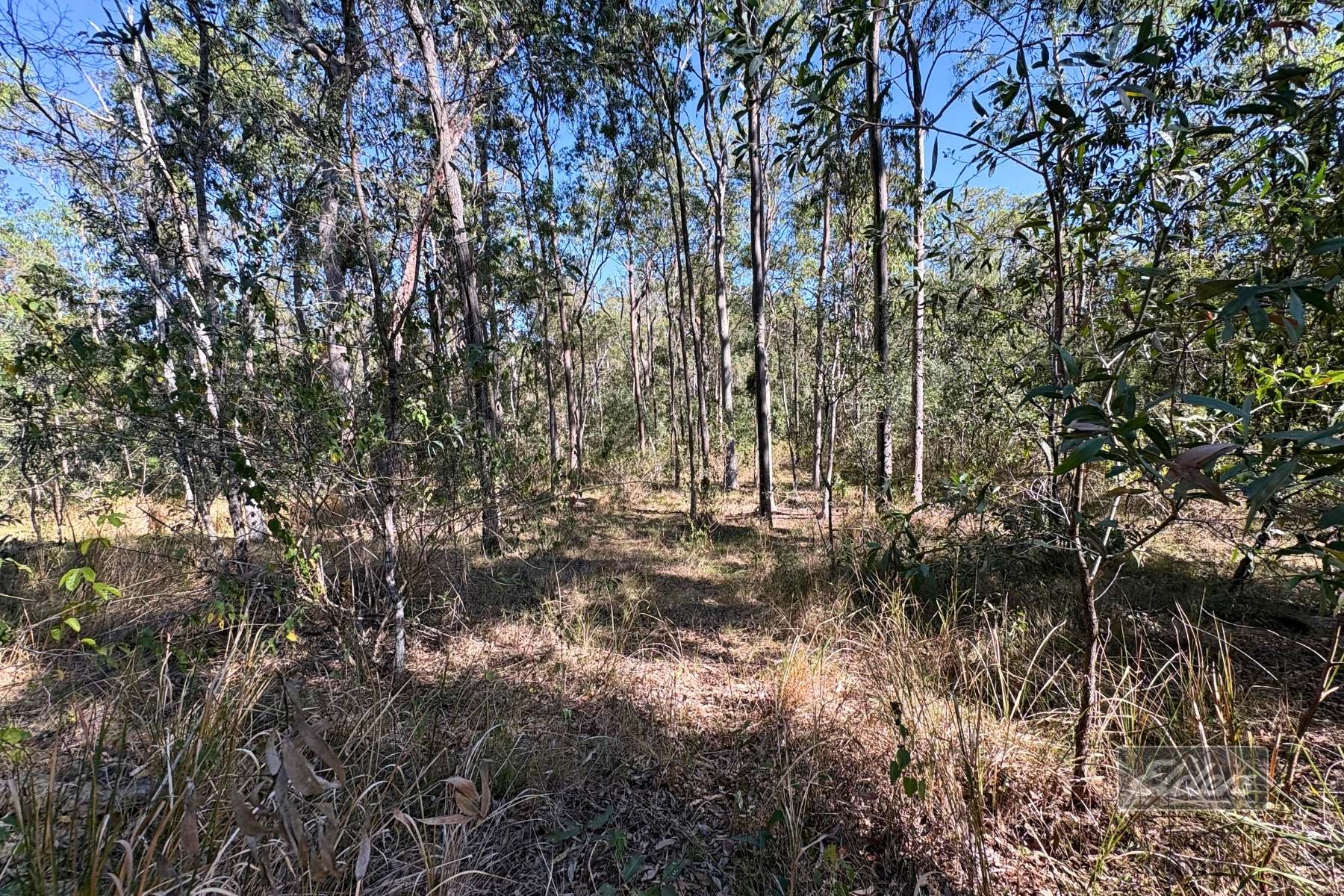 Lot 755 Arbortwenty Eight Road, Glenwood For Sale by Farmbuy.com - image 9