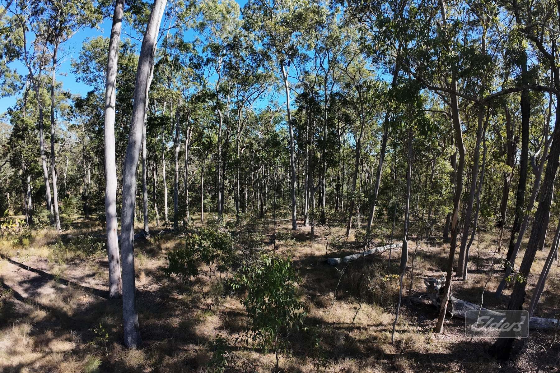 Lot 755 Arbortwenty Eight Road, Glenwood For Sale by Farmbuy.com - image 7