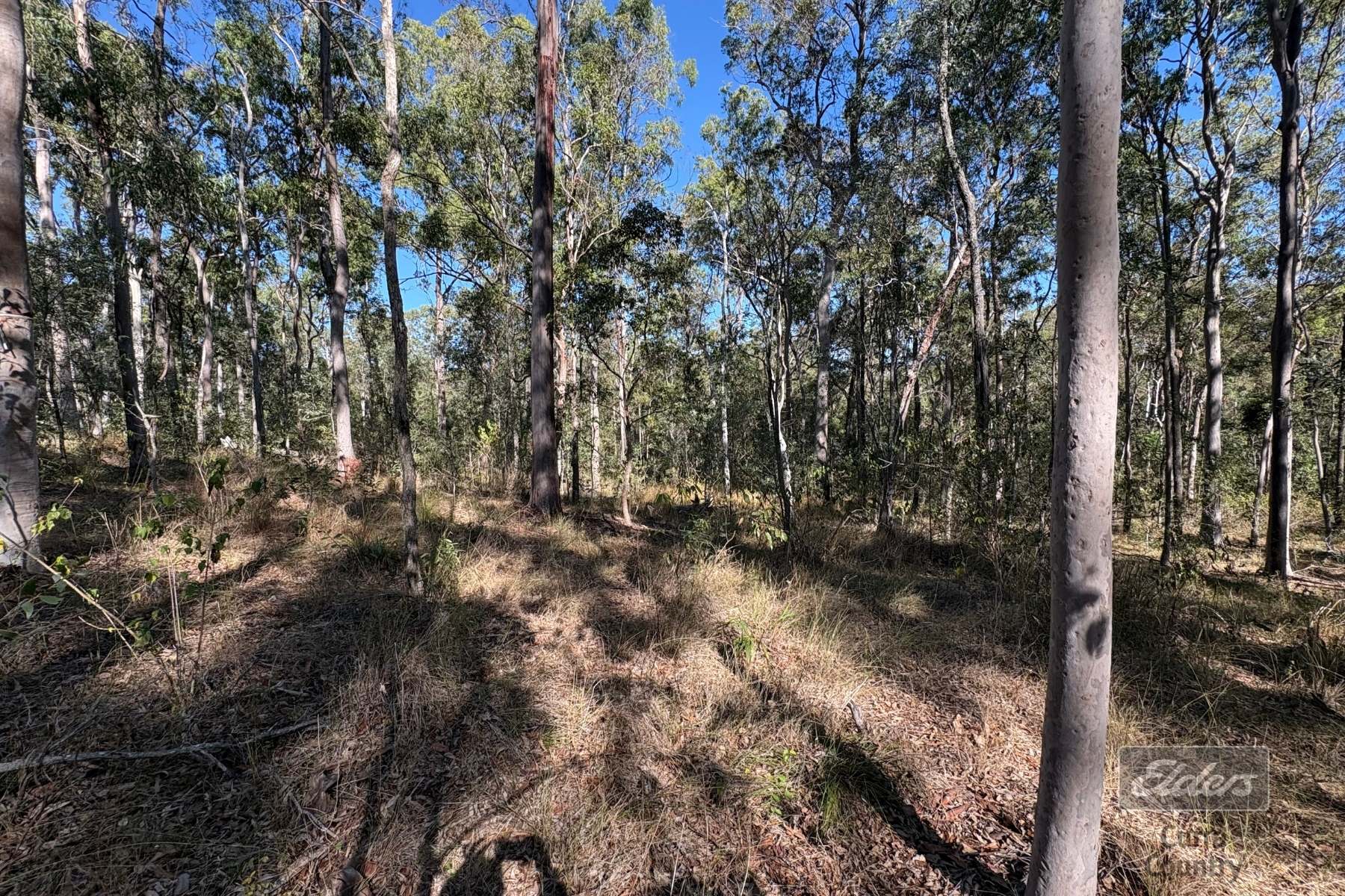 Lot 755 Arbortwenty Eight Road, Glenwood For Sale by Farmbuy.com - image 12