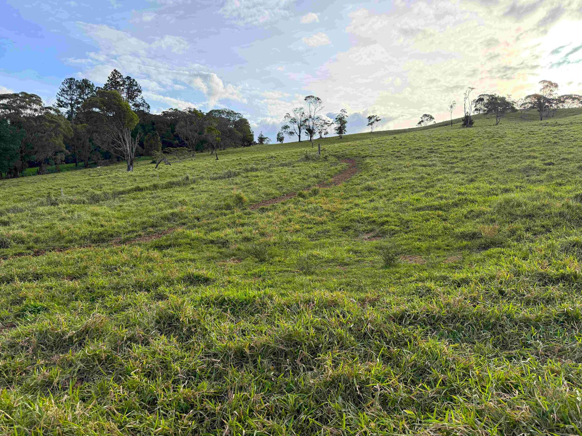 60 Brown Road, Lake Eacham For Sale by Farmbuy.com - image 28