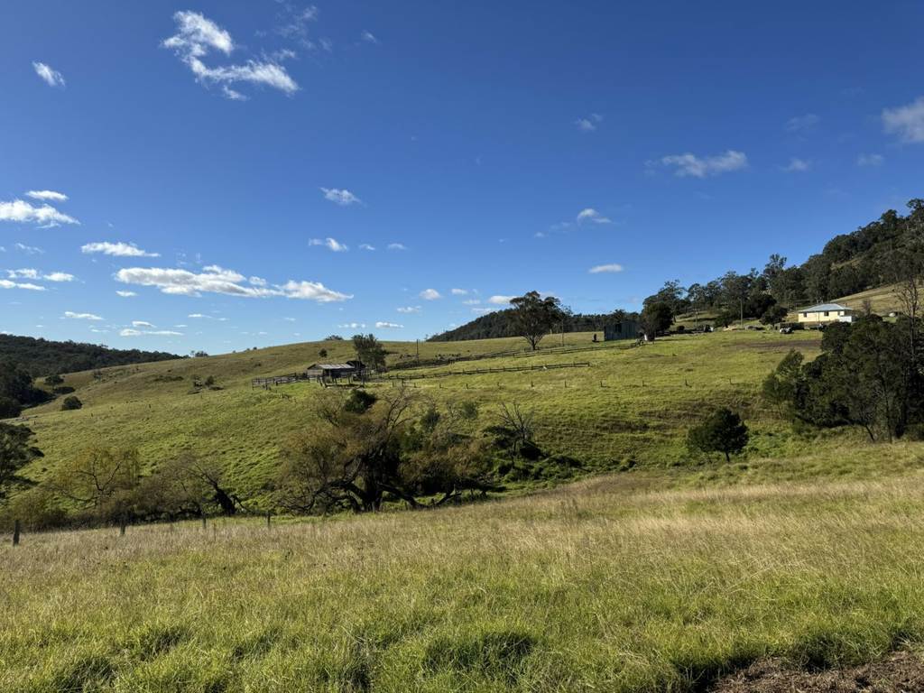 276 Little Careys Trail, Candelo NSW 2550