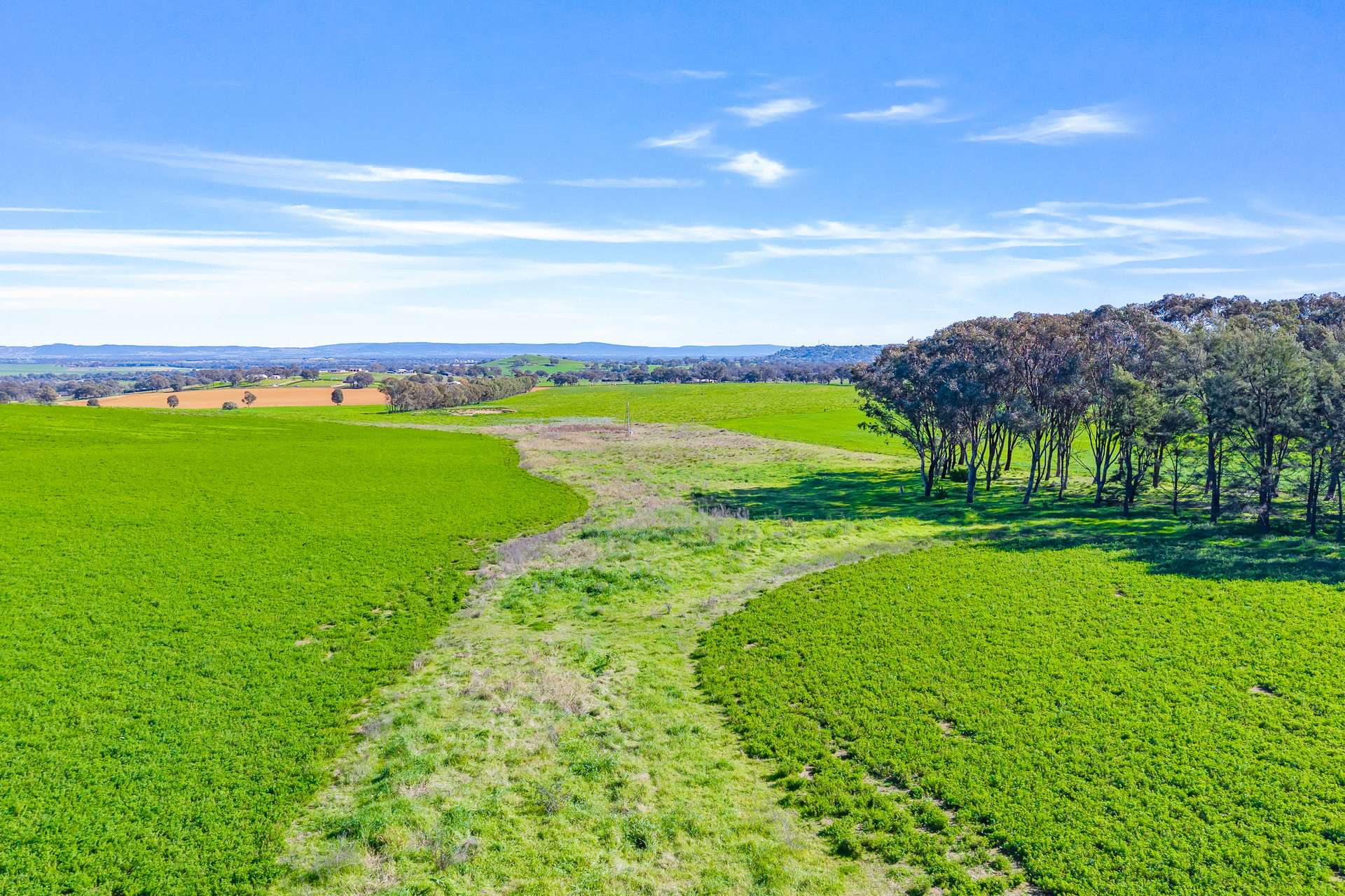 404 Kangaroo Flat Road, Cowra Auction by Farmbuy.com - image 12