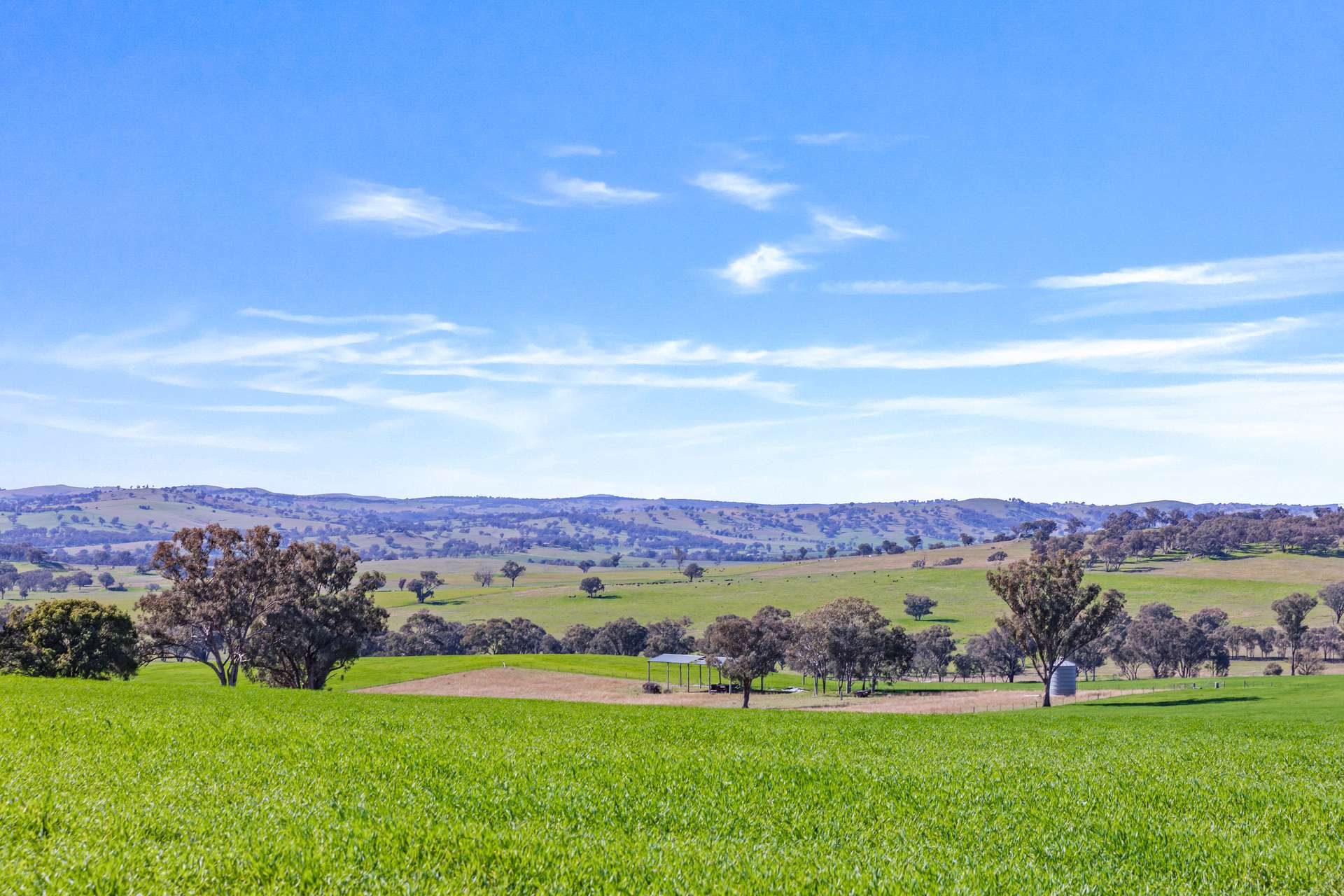 404 Kangaroo Flat Road, Cowra Auction by Farmbuy.com - image 4