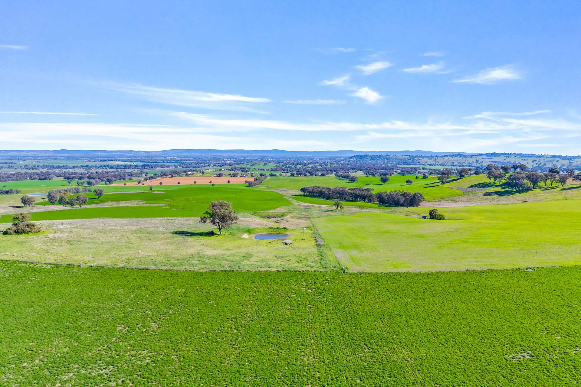 404 Kangaroo Flat Road, Cowra Auction by Farmbuy.com - image 10