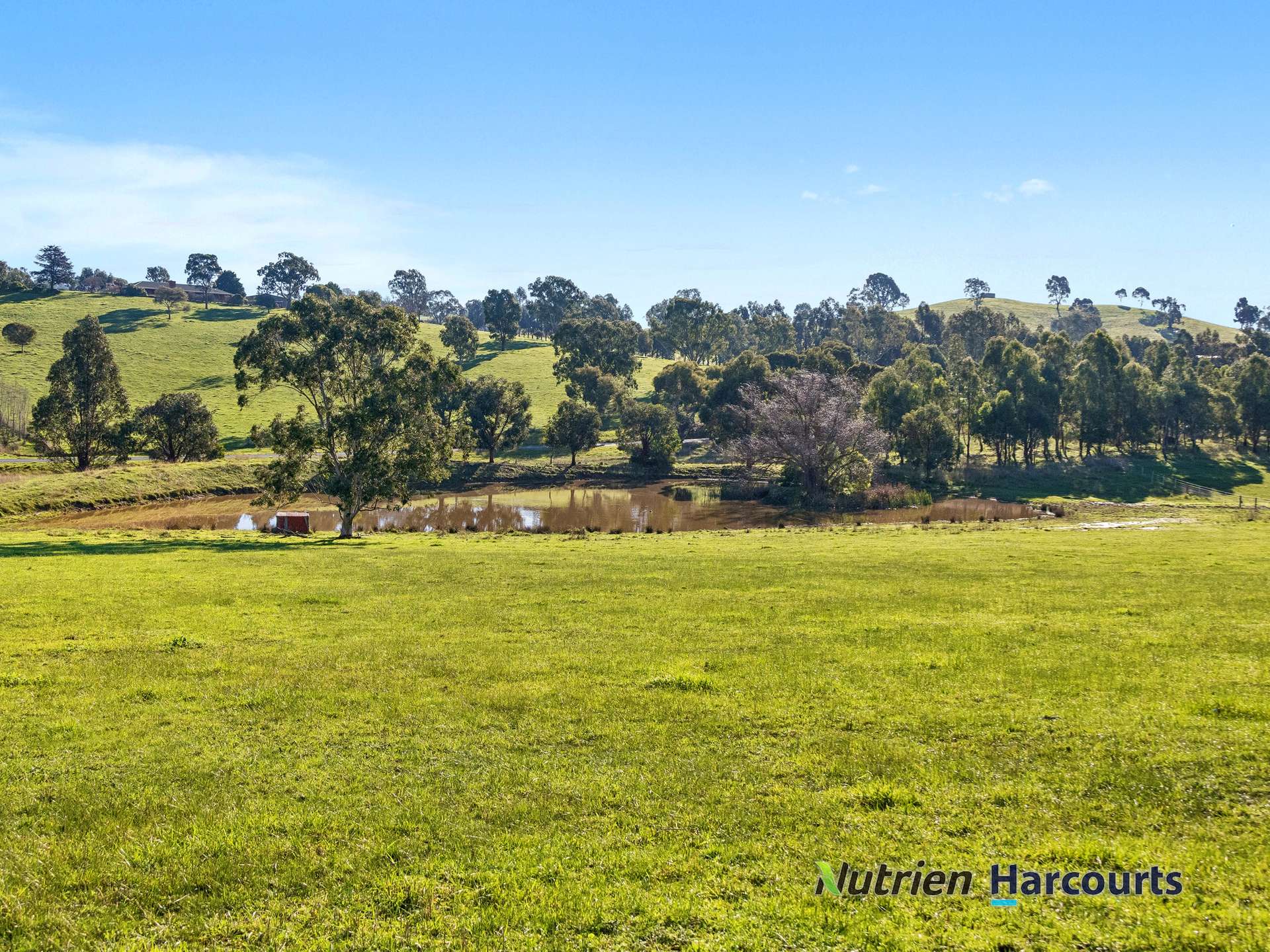 15 Alva Downs Rise, Yea For Sale by Farmbuy.com - image 8