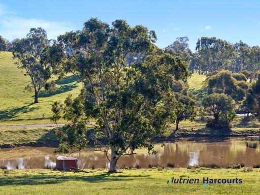 Farm For Sale - VIC - Yea - 3717 - Premium Lifestyle Allotment 
