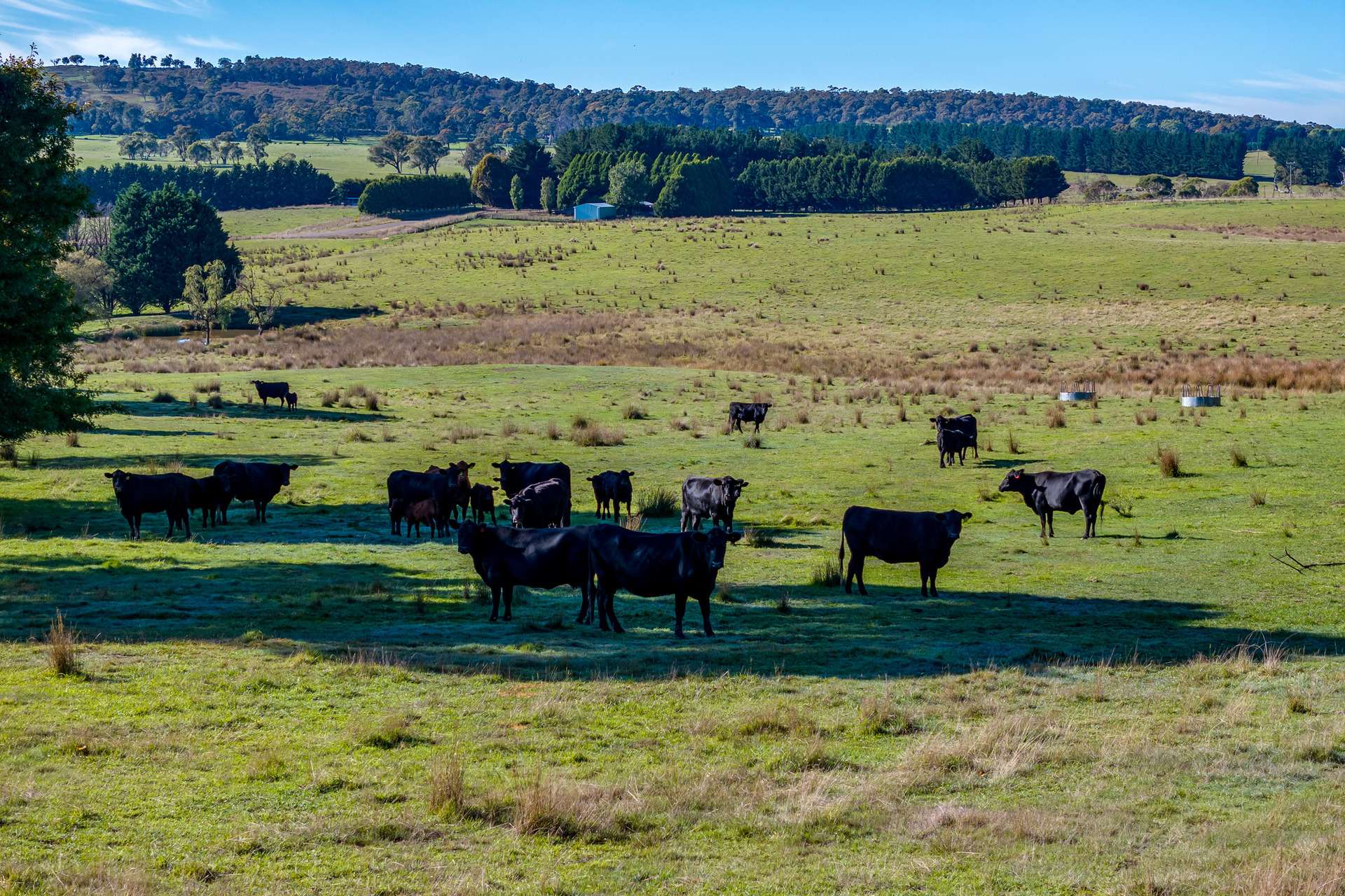5797 Taralga Road, Taralga For Sale by Farmbuy.com - image 6