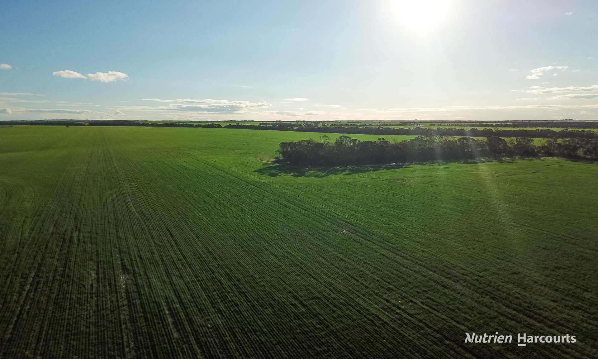 . POSSUM HILL & LEN'S BLOCK, Mindarabin For Sale by Farmbuy.com - image 10