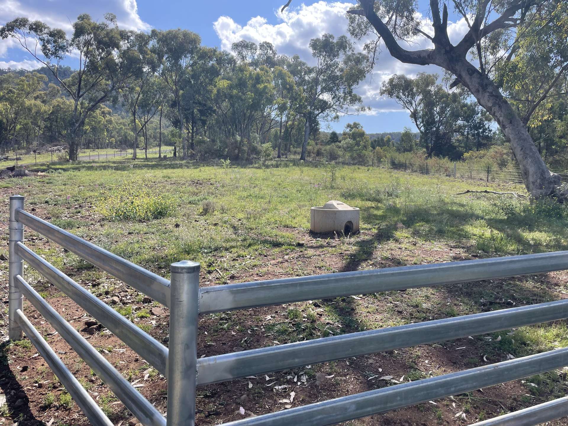 "Tambar Ridge" 100 High Street, Tambar Springs For Sale by Farmbuy.com - image 11