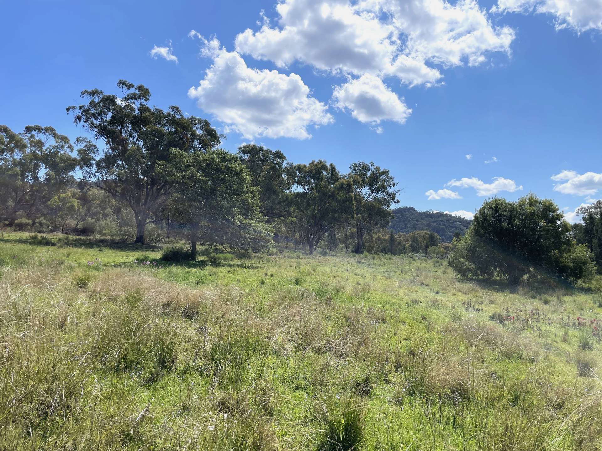 "Tambar Ridge" 100 High Street, Tambar Springs For Sale by Farmbuy.com - image 7