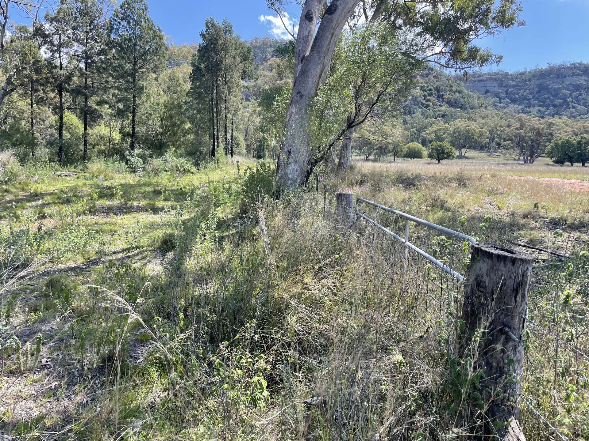 "Tambar Ridge" 100 High Street, Tambar Springs For Sale by Farmbuy.com - image 16