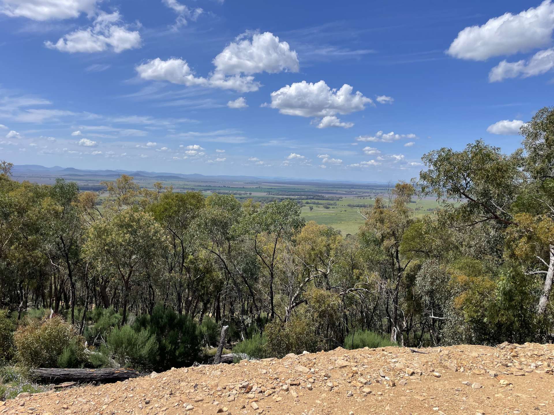 "Tambar Ridge" 100 High Street, Tambar Springs For Sale by Farmbuy.com - image 2