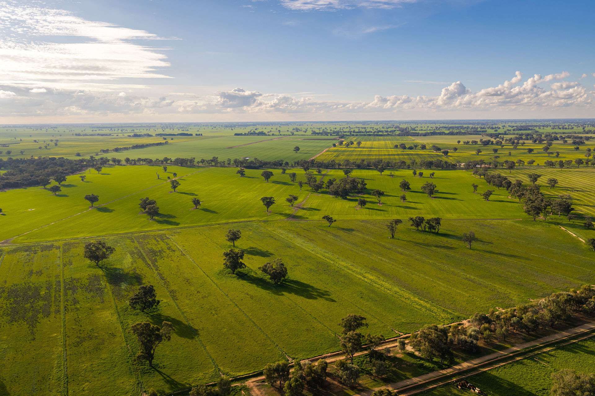 1484 Centre Road, Moama Auction by Farmbuy.com - image 2