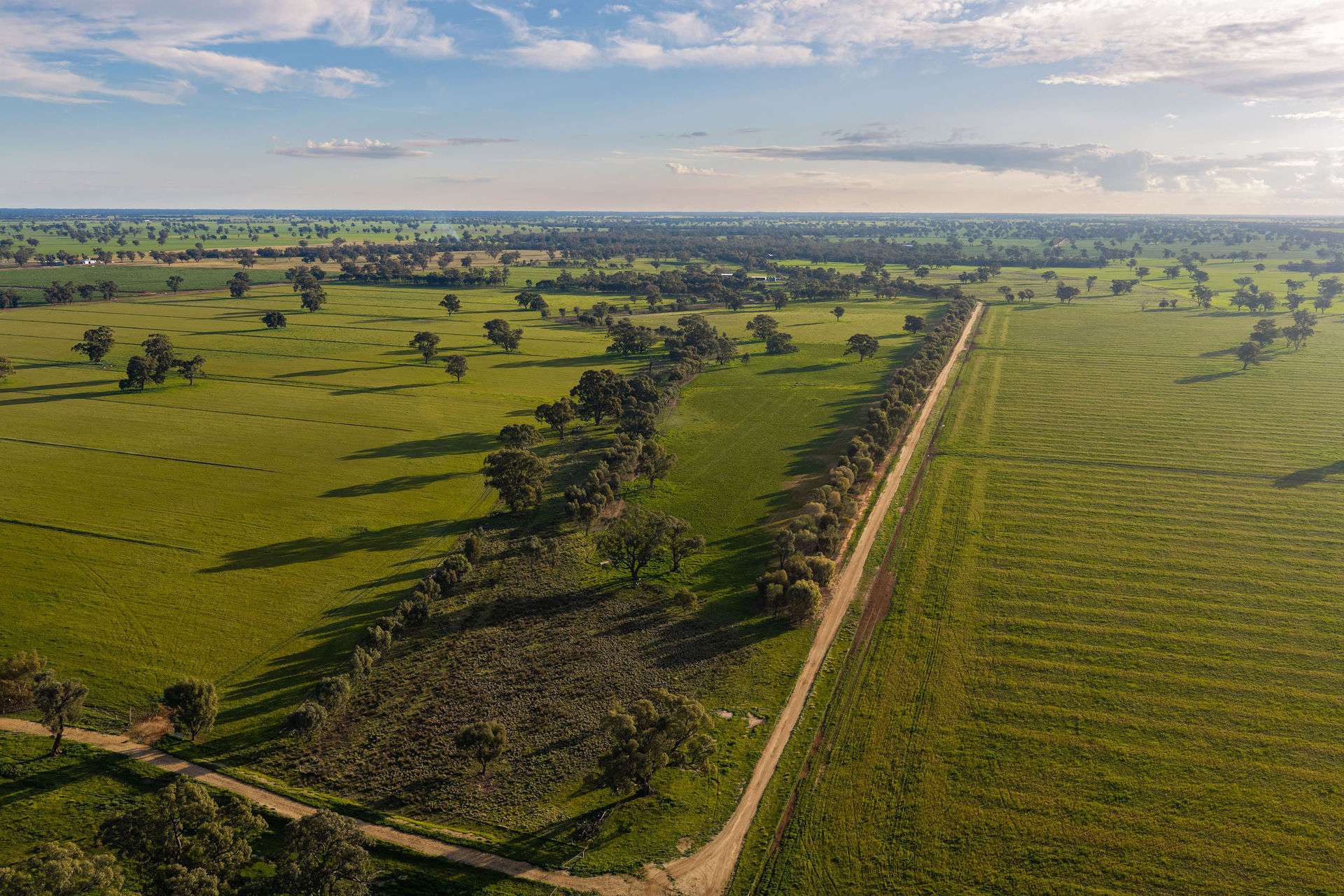 1484 Centre Road, Moama Auction by Farmbuy.com - image 1
