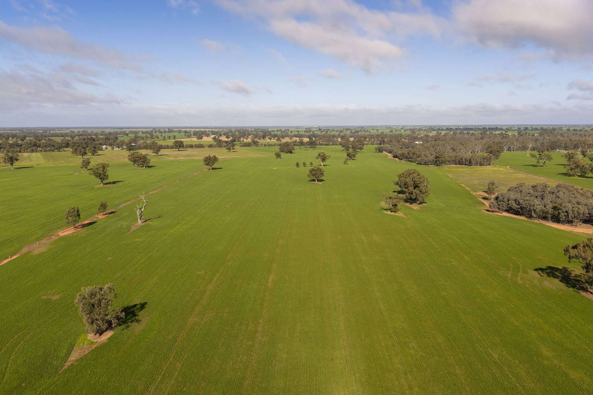 1484 Centre Road, Moama Sold by Farmbuy.com - image 7