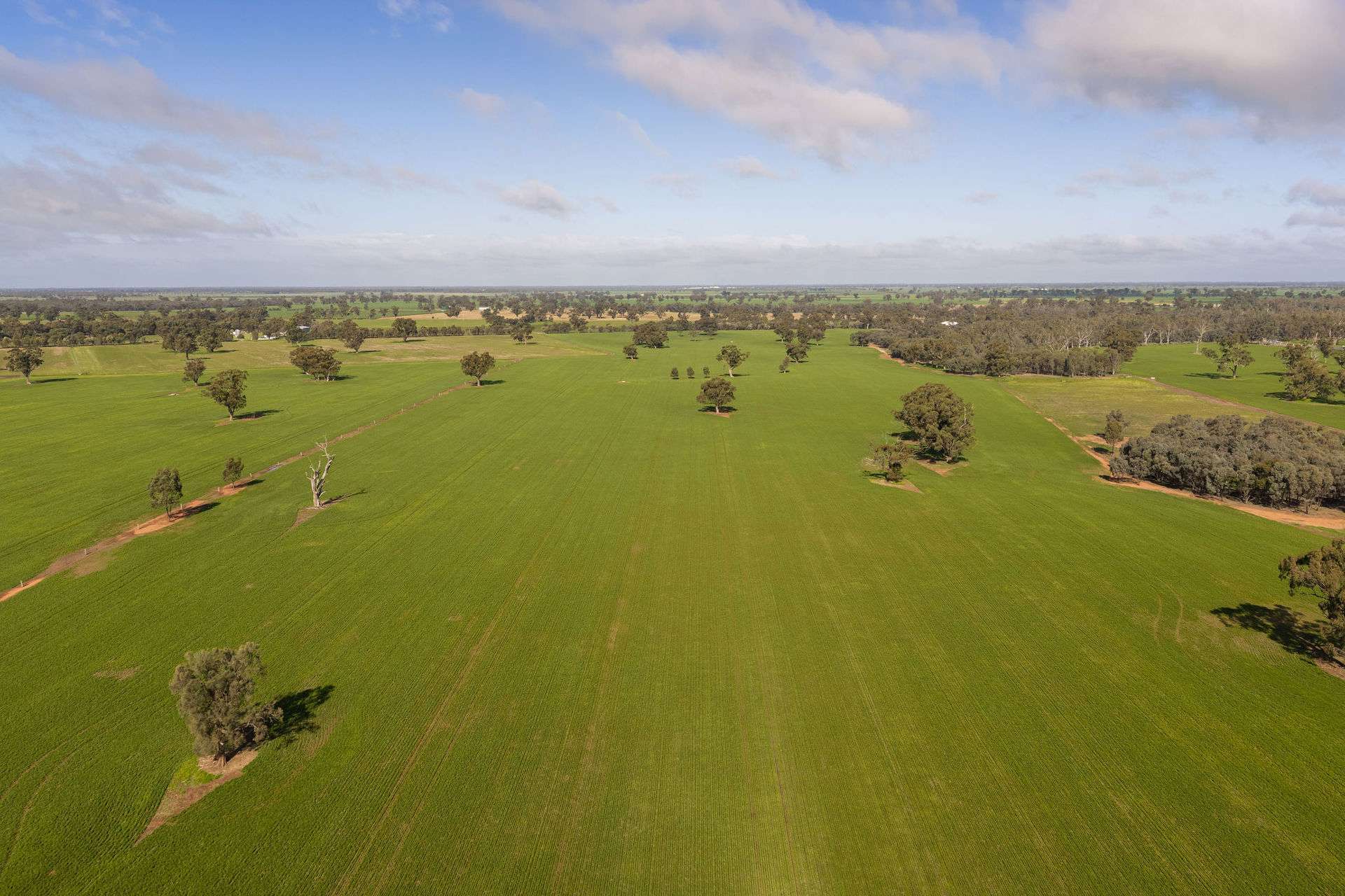 1484 Centre Road, Moama Auction by Farmbuy.com - image 7