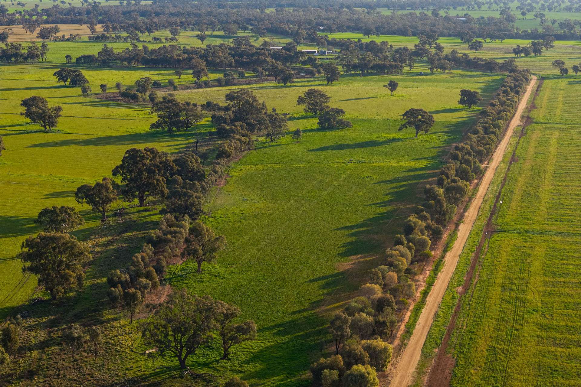 1484 Centre Road, Moama Auction by Farmbuy.com - image 10