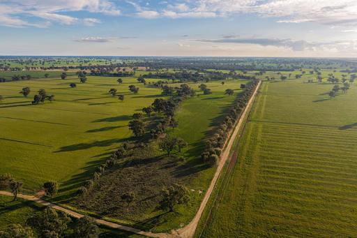 Farm Sold - NSW - Moama - 2731 - 'Gully Green' Moama NSW
Premium Livestock, Irrigation & Cropping Holding
459.3 Hectares / 1,135.1 Acres 