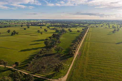 1484 Centre Road, Moama NSW 2731