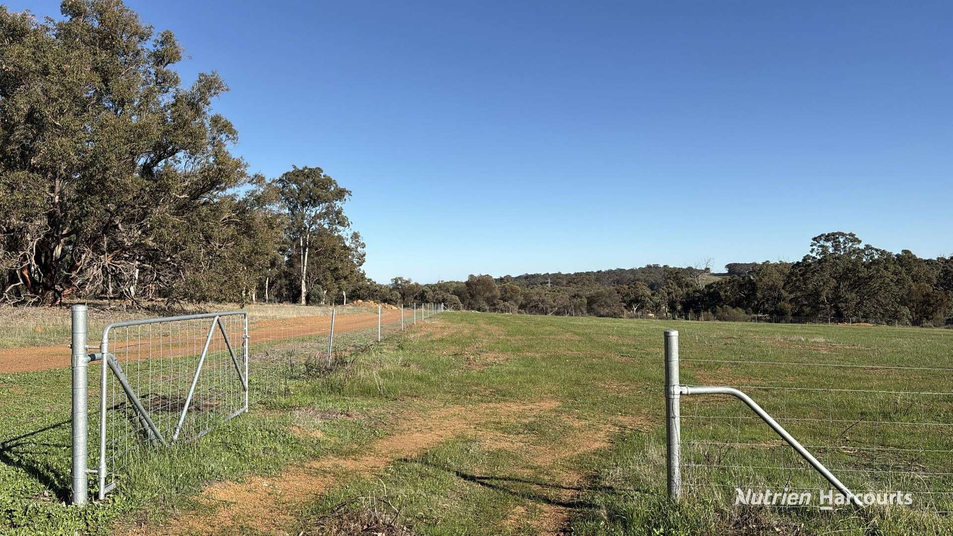 253 Graham Road, Dumberning For Sale by Farmbuy.com - image 20