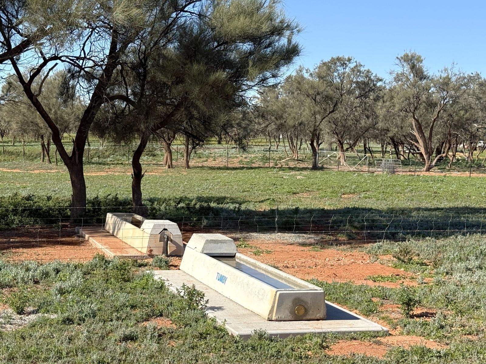 Mazar Station, 6494 Netley Road, Broken Hill For Sale by Farmbuy.com - image 19