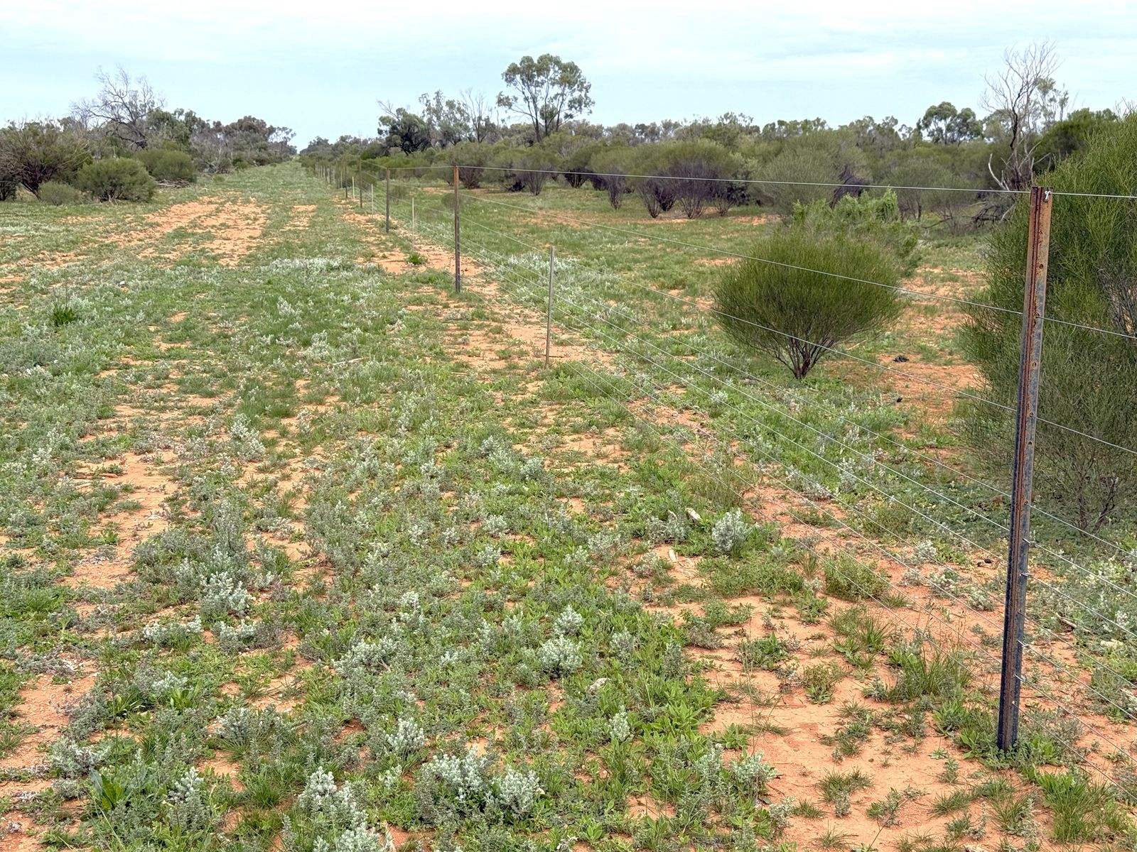 Mazar Station, 6494 Netley Road, Broken Hill For Sale by Farmbuy.com - image 26