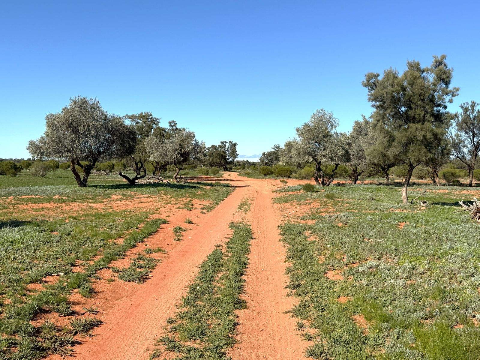 Mazar Station, 6494 Netley Road, Broken Hill For Sale by Farmbuy.com - image 33