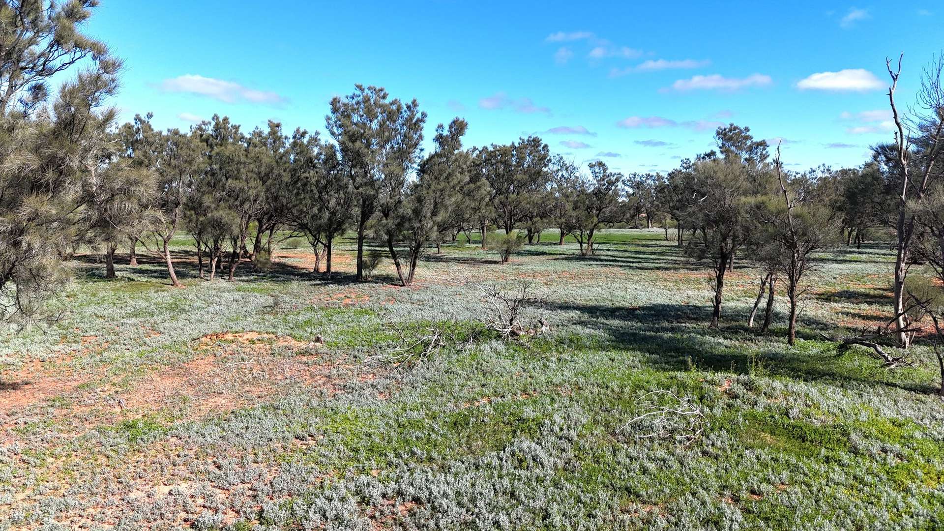 Mazar Station, 6494 Netley Road, Broken Hill For Sale by Farmbuy.com - image 7