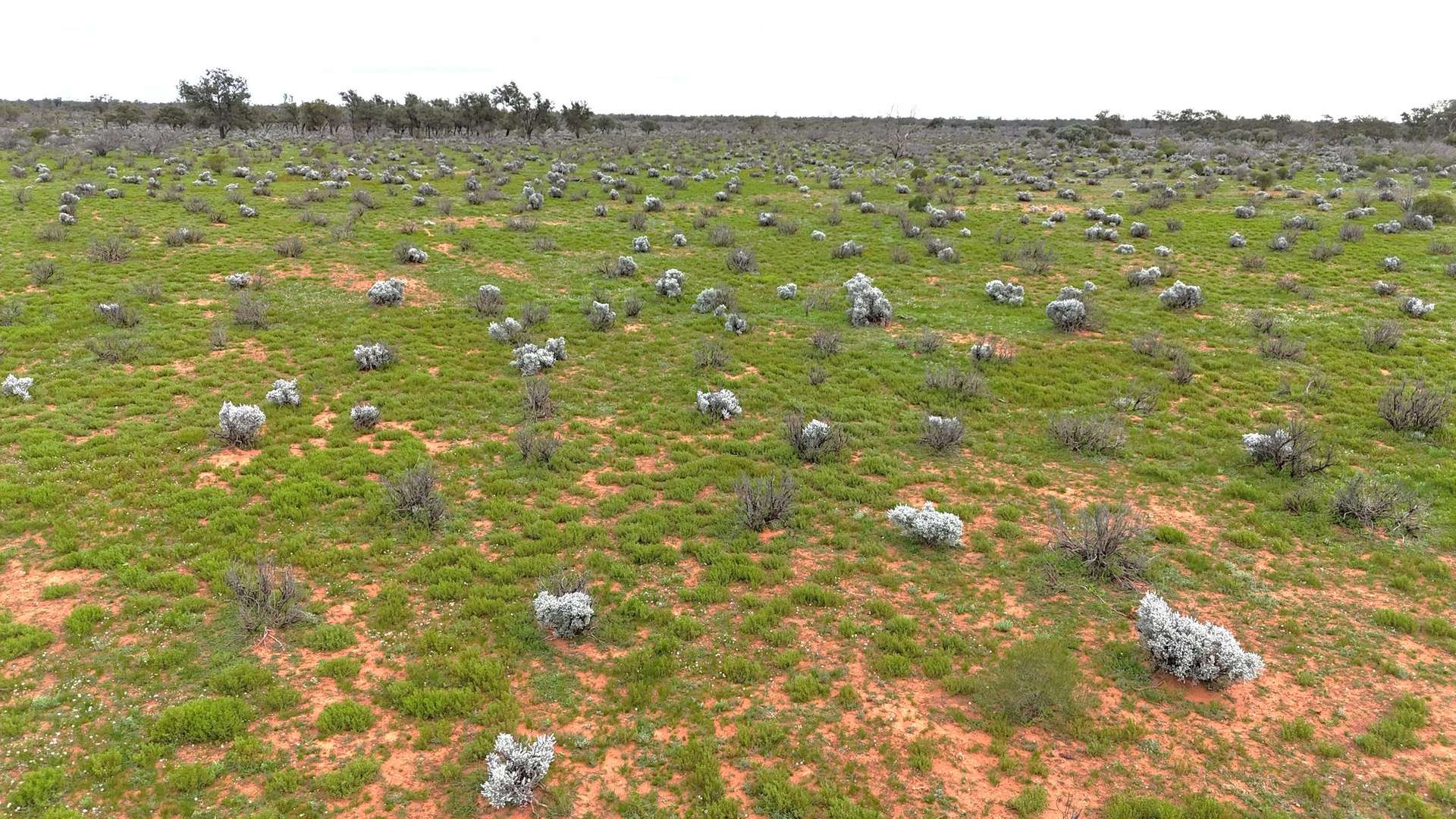 Mazar Station, 6494 Netley Road, Broken Hill For Sale by Farmbuy.com - image 6