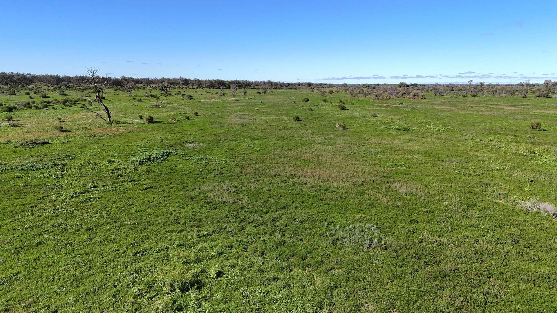 Mazar Station, 6494 Netley Road, Broken Hill For Sale by Farmbuy.com - image 5