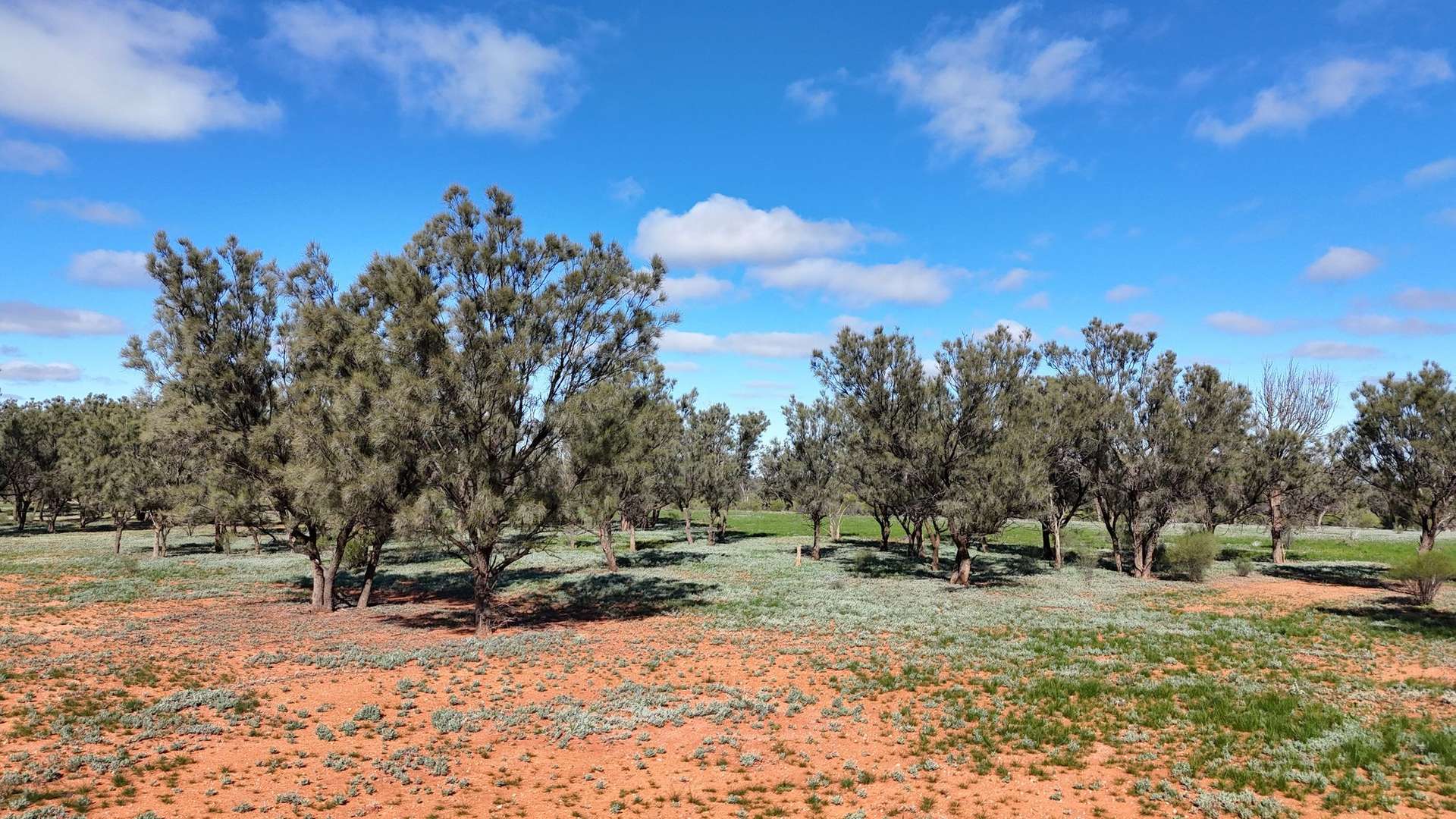 Mazar Station, 6494 Netley Road, Broken Hill For Sale by Farmbuy.com - image 32