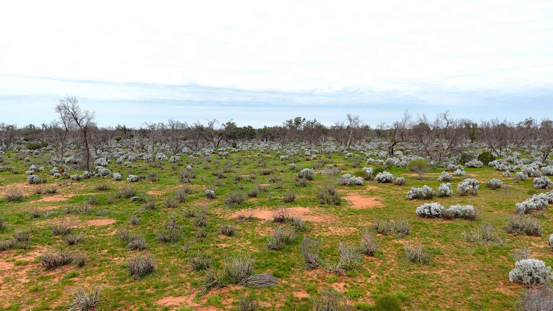 Mazar Station, 6494 Netley Road, Broken Hill For Sale by Farmbuy.com - image 30