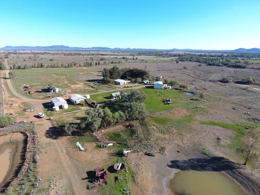 Farm For Sale - NSW - Gravesend - 2401 - Scale, Versatility and value add potential 