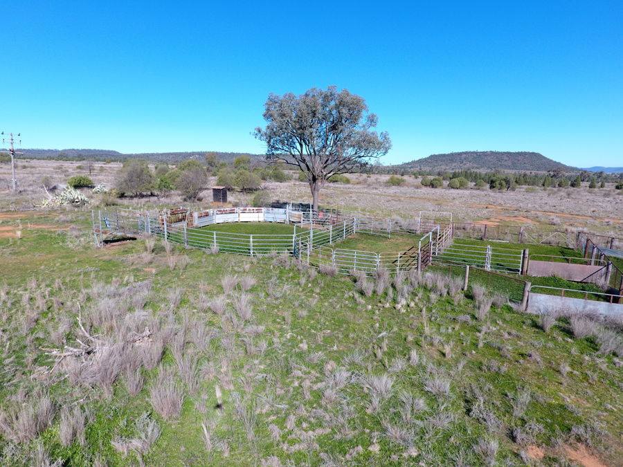 79 Glen Wood Road, Gravesend For Sale by Farmbuy.com - image 8